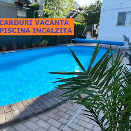 Vila Fifi Costinesti-3